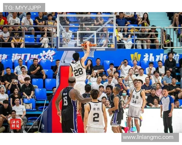 篮球场上的明星风采与荣耀背后的故事揭秘